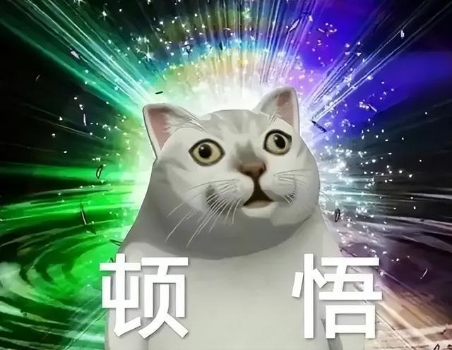 最科学的体测方法与身体成分解析”瓦力棋牌游戏“精准掌握身体密码：(图7)